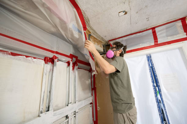 Best Airborne Mold Testing  in Princeville, HI