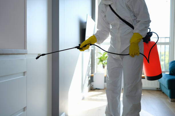 Best Residential Mold Inspection & Testing  in Princeville, HI