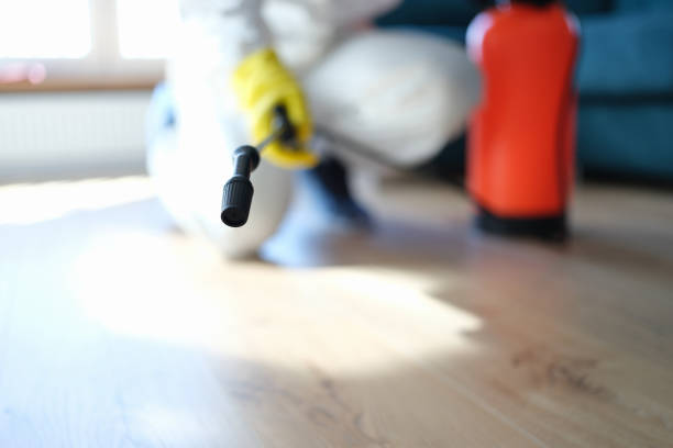  Princeville, HI Mold Removal Pros