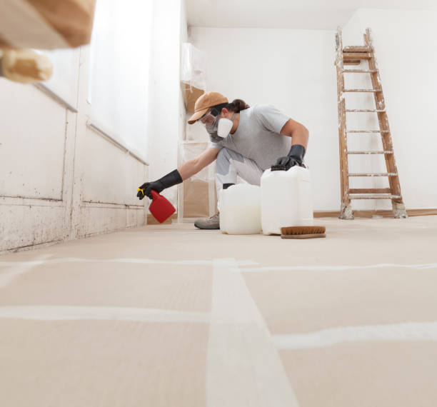 Best Mold Remediation for Rental Properties  in Princeville, HI